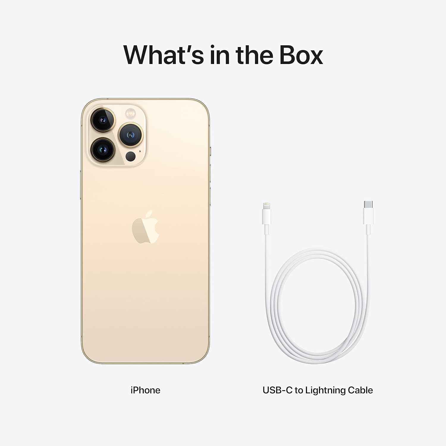 Apple iPhone 13 Pro Max