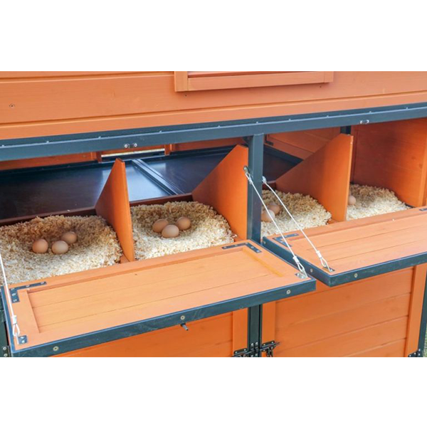 Walk-In Weatherproof Large Chicken Coop